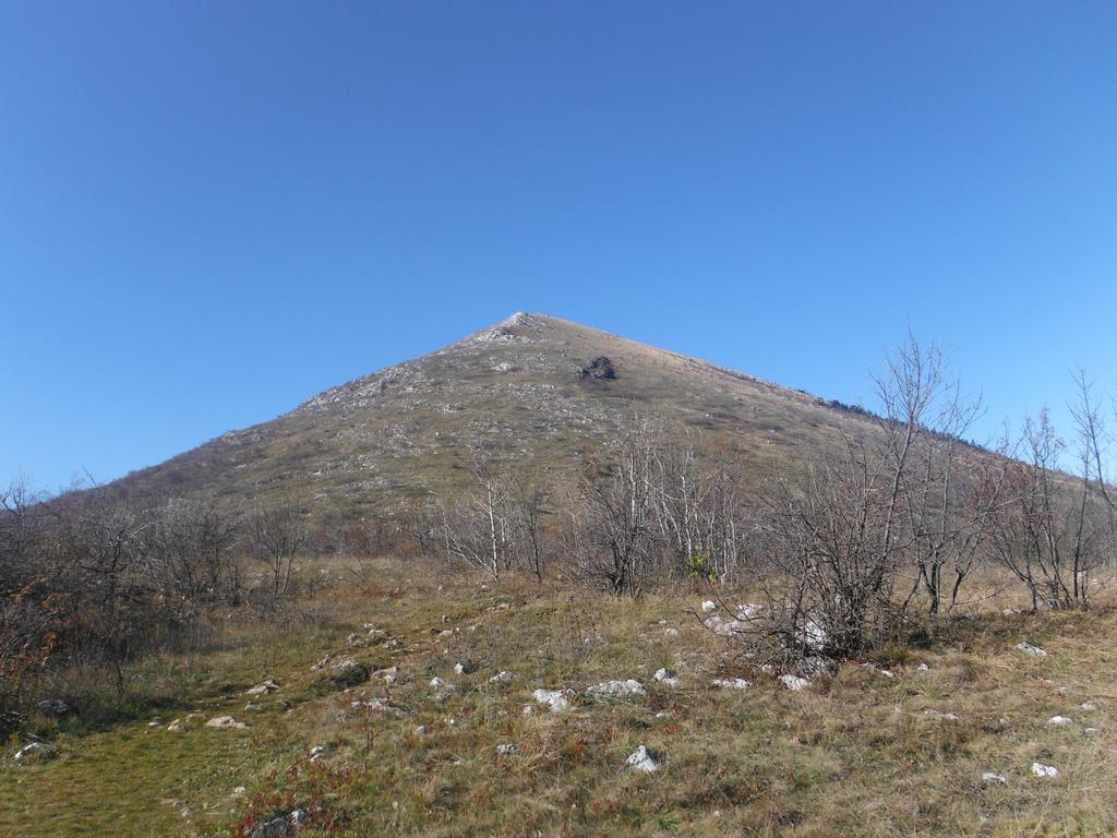 Bed and Breakfast Musical Pansion Radgost, Berg Rtanj Exterior foto